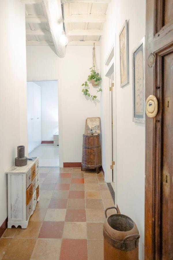 Domus Superior Navona - Pantheon Apartment Rome Exterior photo
