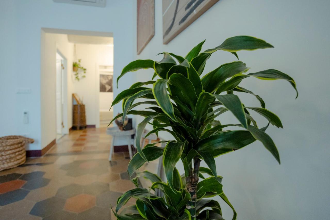 Domus Superior Navona - Pantheon Apartment Rome Exterior photo